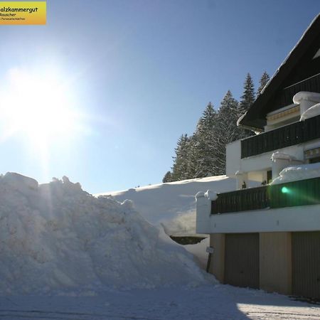 Apartment Regina Bad Mitterndorf Kültér fotó